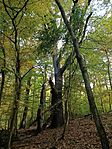 IMG_20251019_104357