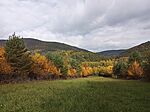 IMG_20251018_110821_221