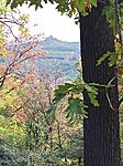 IMG_20251018_121735_314