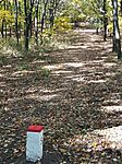 IMG_20251018_130845_878
