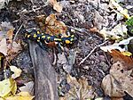 IMG_20251018_134723_435