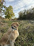 IMG_1147