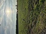 IMG_1151