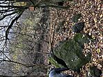 IMG_1334
