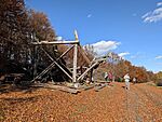 PXL_20251029_113923297