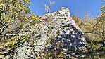 IMG_20251031_091911