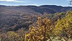 IMG_20251031_092446