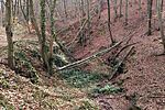 IMG_20251116_113351