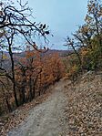 IMG_20251102_091020