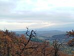IMG_20251102_091116
