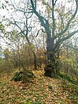 IMG_20251102_161807