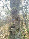 IMG_20251102_134752