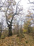 IMG_20251102_134815