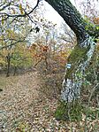 IMG_20251102_132847