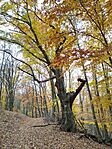 IMG_20251102_125758