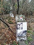 IMG_20251108_105725