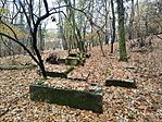IMG_20251108_110617