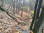 IMG_20251108_110801