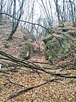 IMG_20251108_111126