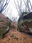 IMG_20251108_111149