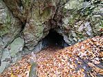IMG_20251108_111159
