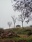 IMG_20251115_093053