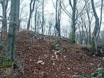IMG_20251116_155116