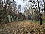 IMG_20251116_084644