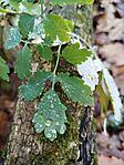 IMG_20251116_083928