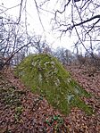 IMG_20251116_083904