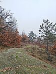 IMG_20251116_083613