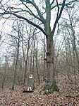 IMG_20251116_082403