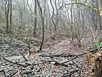 IMG_20251116_081955