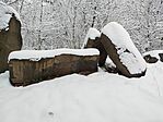 IMG_20251123_114651