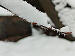 IMG_20251123_114637