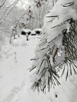 IMG_20251123_114338