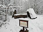 IMG_20251123_113945