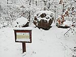 IMG_20251123_113904