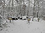 IMG_20251123_113853