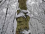 IMG_20251123_113048