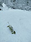IMG_20251123_113007