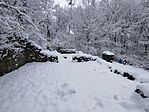IMG_20251123_112748