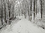 IMG_20251123_112450