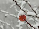 IMG_20251123_110741