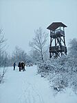 IMG_20251123_105302