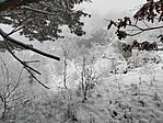 IMG_20251123_105102