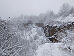 IMG_20251123_105008