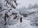 IMG_20251123_104959