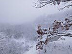 IMG_20251123_104329