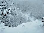 IMG_20251123_104316